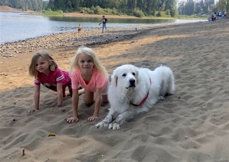 Best West Linn parks: Playgrounds, splash pads, hikes + more in Oregon