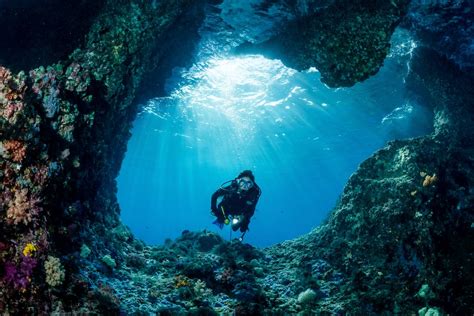 How to Get a Scuba Diving Certification and the 3 Fun Ways to Explore the Deep Blue Sea - Klook ...