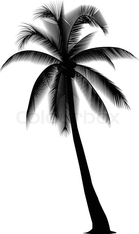 Silhouetted coconut tree on the white ... | Stock Vector | Colourbox