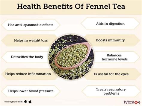 Benefits of Fennel Tea And Its Side Effects | Lybrate