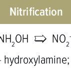 Nitrification in aerobic soils. | Download Scientific Diagram