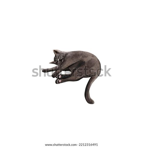 Watercolor Realistic Illustration Cat Sleeping Pet Stock Illustration ...