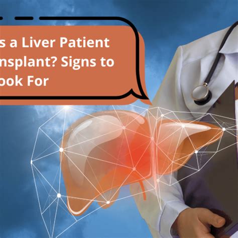 Time for Liver Donor Recovery After Liver Transplant - Livonta Global ...