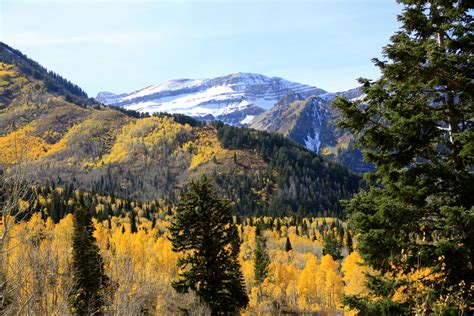 My Scenic Byway: Alpine Loop Scenic Byway