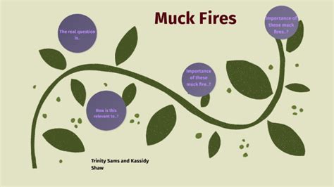 Muck Fires by Trinity Sams on Prezi