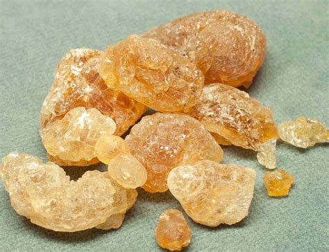 gum arabic known as acacia gum was collected from Acacia nilotica