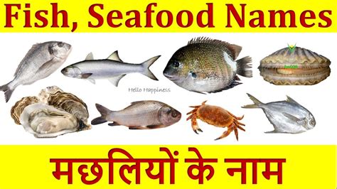 Names of Indian Fish & Seafood in English and Hindi | Fish Names ...