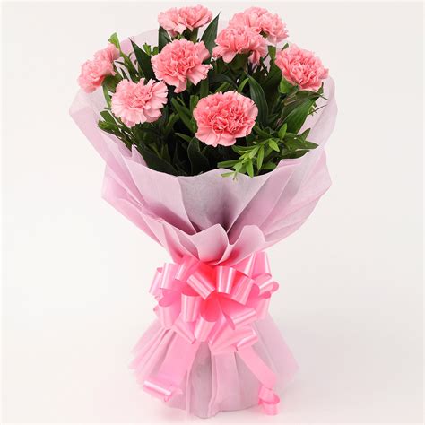 Buy/Send Beautiful 8 Pink Carnations Bouquet Online- Ferns N Petals