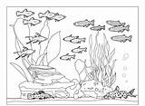 Aquarium Fish Coloring Pages  sketch template