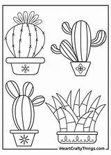Coloring Pages For Cacti sketch template