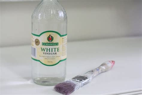 How to Clean your Paint Brush with Vinegar | Cleaning paint brushes, Cleaning, Vinegar uses