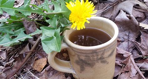 Dandelion Root Coffee | Recipe | LifeSource Natural Foods