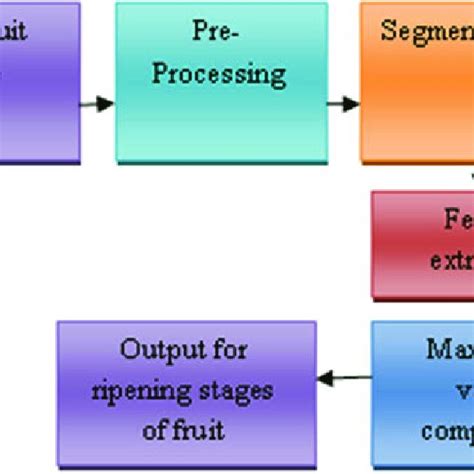 Block diagram of classification for fruit ripening stages | Download Scientific Diagram