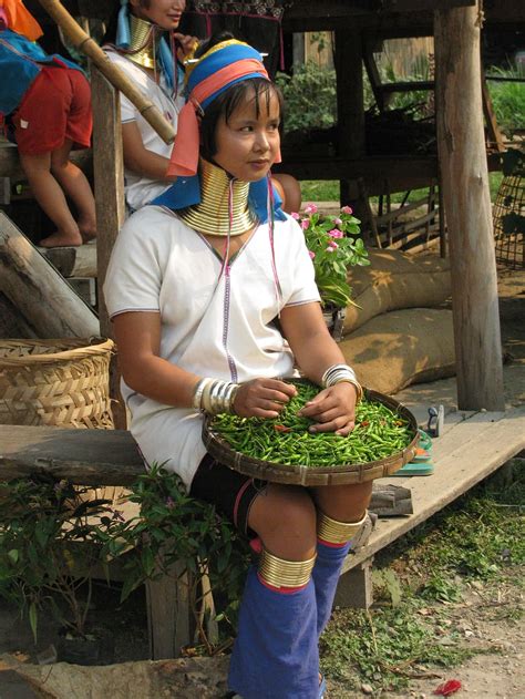 tribe woman, tribe, woman, asian, culture, real people, women, females, CC0, public domain ...