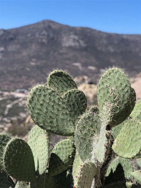 How to Visit Pena de Bernal & Climb a Sacred Monolith - Slight North