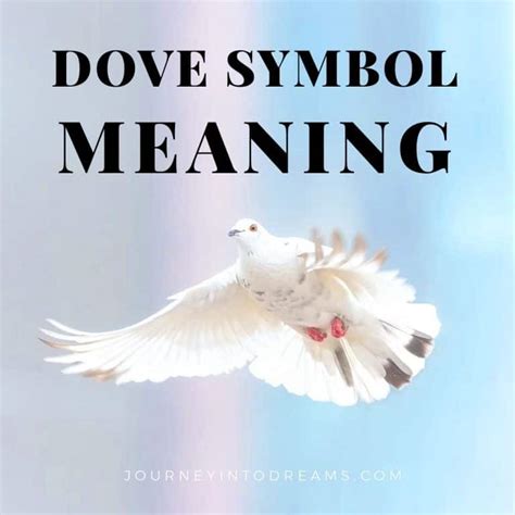 Dove Symbolism & Pigeon Meaning