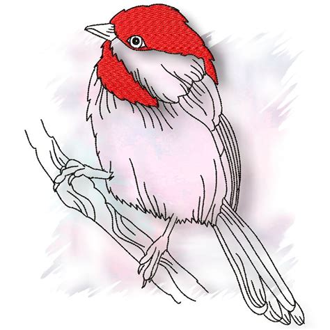 Redcap Bird in Linework Machine Embroidery - Pams embroidery designs | Linework, Machine ...