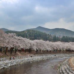 THE BEST Chungju Monuments & Statues (with Photos) - Tripadvisor