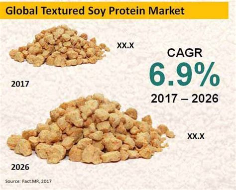 Textured Soy Protein Market Forecast, Trend Analysis & Competition Tracking - Global Market ...