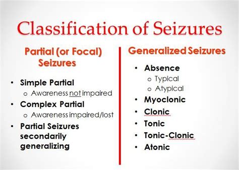 56 Best of What Type Of Seizure Is Status Epilepticus - insectza