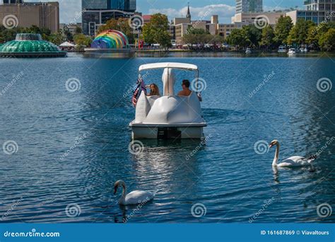 Swan Boats and Swan at Lake Eola Park in Downtown Area 31 Editorial ...