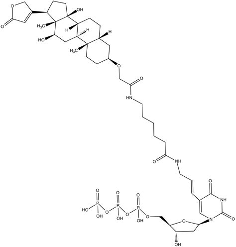 APExBIO - Digoxigenin-11-dUTP