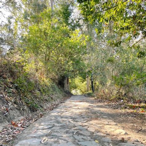 Tennessee Valley, Coastal Trail, Fox Trail Loop - A Top Bay Area California Hike - Carrie Green-Zinn