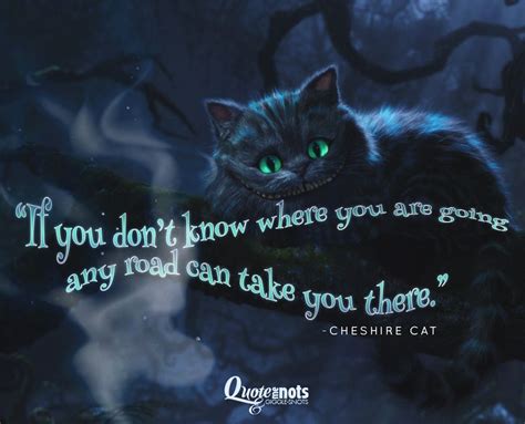 Alice In Wonderland Cat Quote Which Way - Cats Anime Drawing