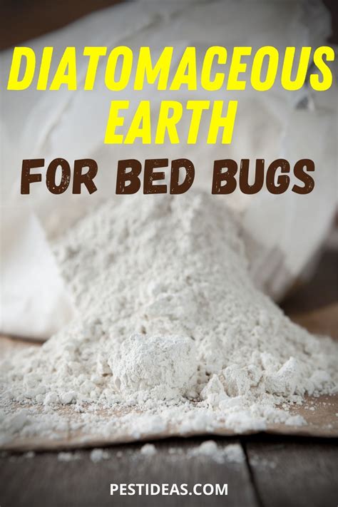 Learn how to Use Diatomaceous Earth to Kill Bed Bugs