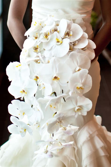 Bouquets Photos - Large White Orchid Bouquet - Inside Weddings