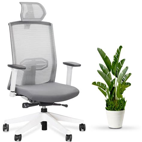 Office & Desk Chairs: Best Ergonomic Office Chairs Canada