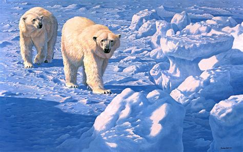 Wallpaper and Screensavers Free Polar Bears - WallpaperSafari