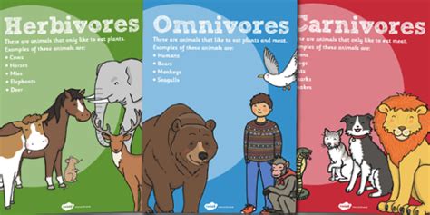 Herbivores Omnivores and Carnivores Posters - poster, science