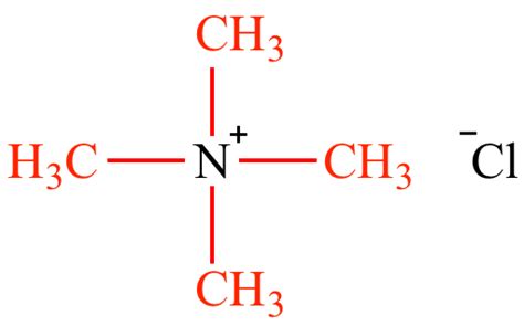 Illustrated Glossary of Organic Chemistry - Primary ammonium salt