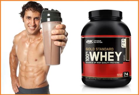 Whey Protein and Muscle Building - Bodydulding