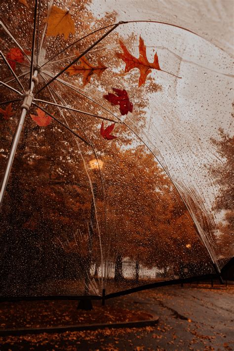 Rainy fall day | Fall wallpaper, Free fall wallpaper, Autumn aesthetic