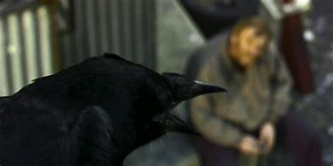 10 Best Horror Movies About Birds