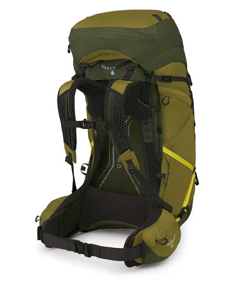 Osprey Atmos AG LT 65 Scenic Valley/Green Trekking Backpacks : Snowleader