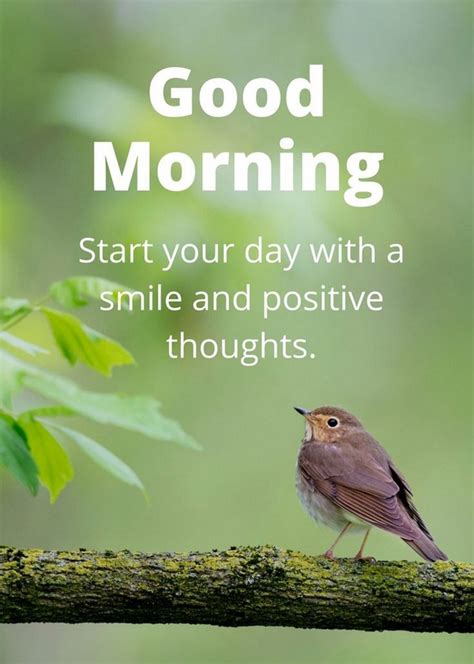 150 Unique Good Morning Quotes and Wishes - Good Morning Quotes