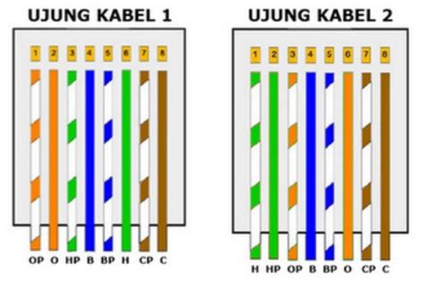 kabel rangkaian rj45 - Virginia Ferguson