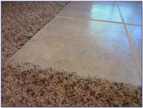 Choosing The Right Carpet Tile Transition - Home Tile Ideas