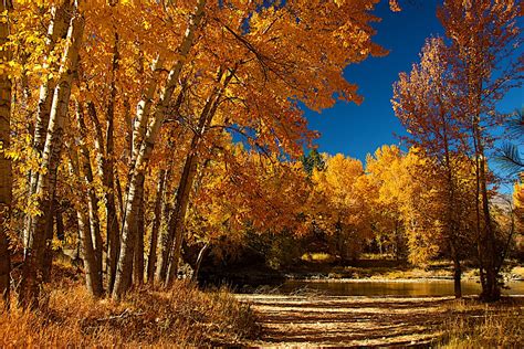 Top Places to Find Fall Colors in Western Montana