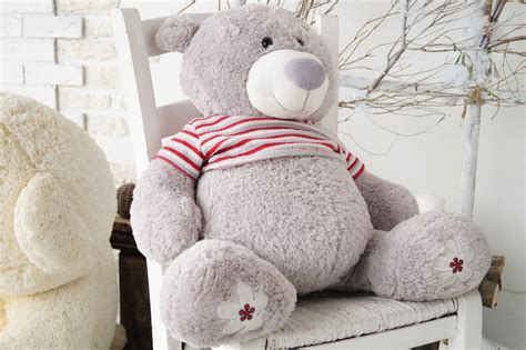 Purple Teddy Bear Sitting on Chair · Free Stock Photo