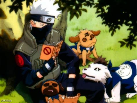 Kakashi and his dogs - Naruto Photo (16178000) - Fanpop