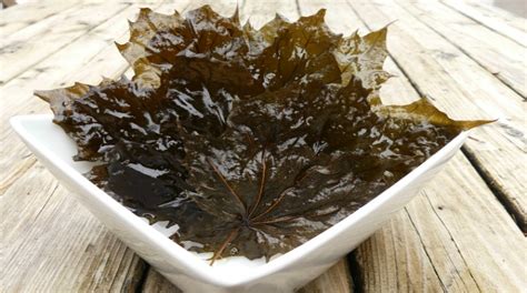 Edible Wild Food Blog » Edible Maple Leaves: Deep Fried and Delicious