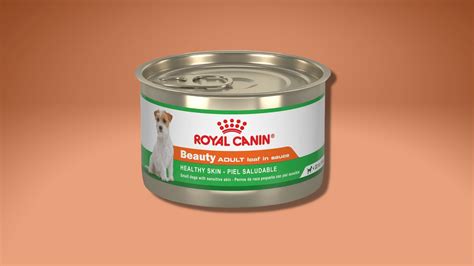 10 Best Dog Food Brands for Every Pup - Ask.com