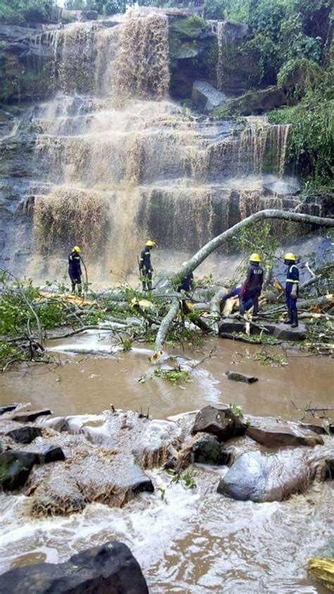 Tree Falls At Kintampo Waterfall In Ghana, Kills 20 Students Swimming, Injure 30 - Travel - Nigeria