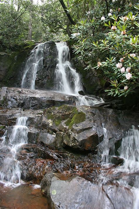 Laurel Falls - Great Smoky Mountains - Photo by Echo | Smokey mountains ...