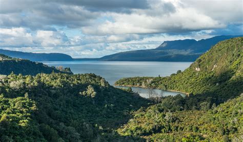 Great Campground & Free Activities in Rotorua - Travelling K