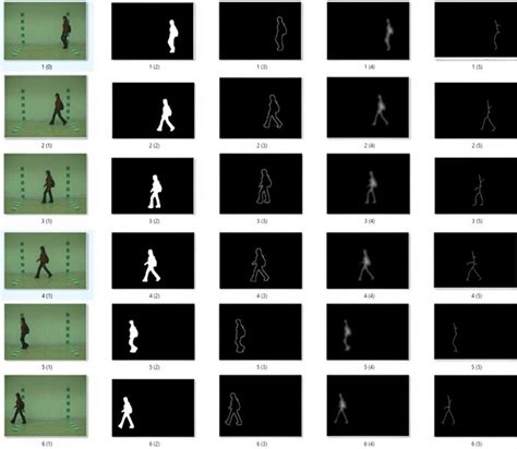 The output of skeletonization algorithm for generating dataset for... | Download Scientific Diagram